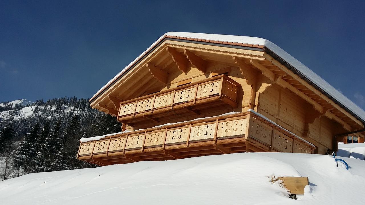 Winterfell Villa Leysin Dış mekan fotoğraf