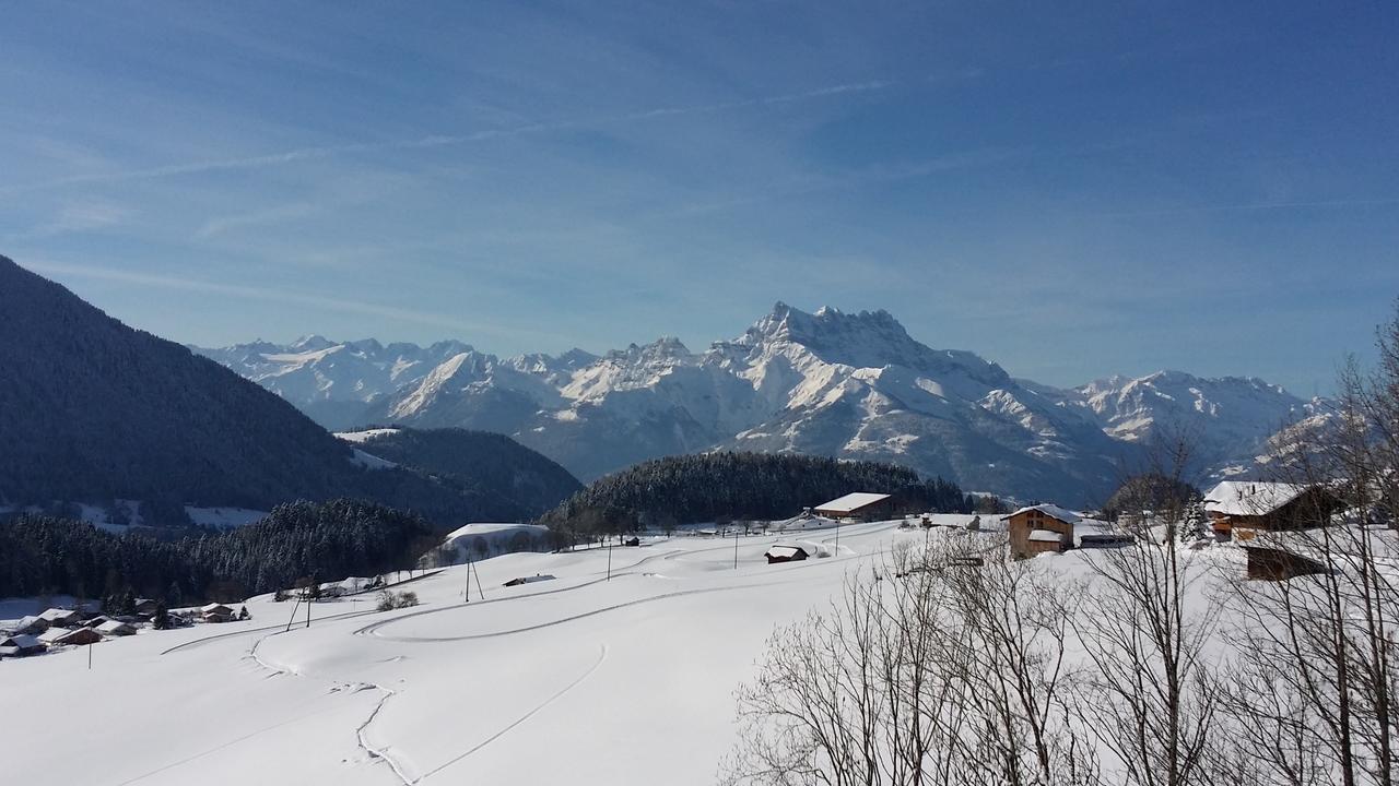 Winterfell Villa Leysin Dış mekan fotoğraf