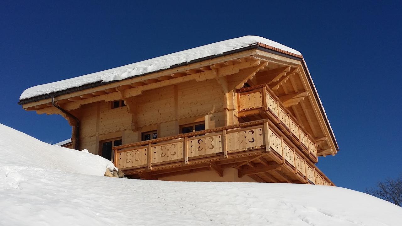 Winterfell Villa Leysin Dış mekan fotoğraf