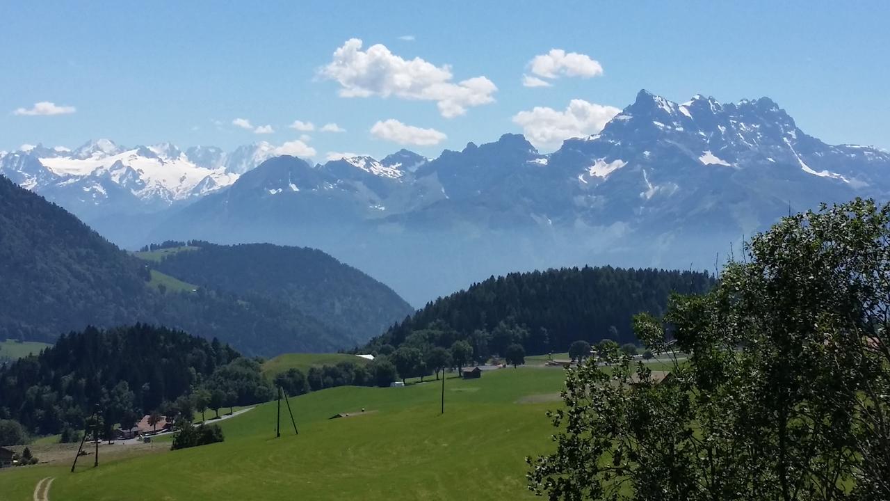 Winterfell Villa Leysin Dış mekan fotoğraf