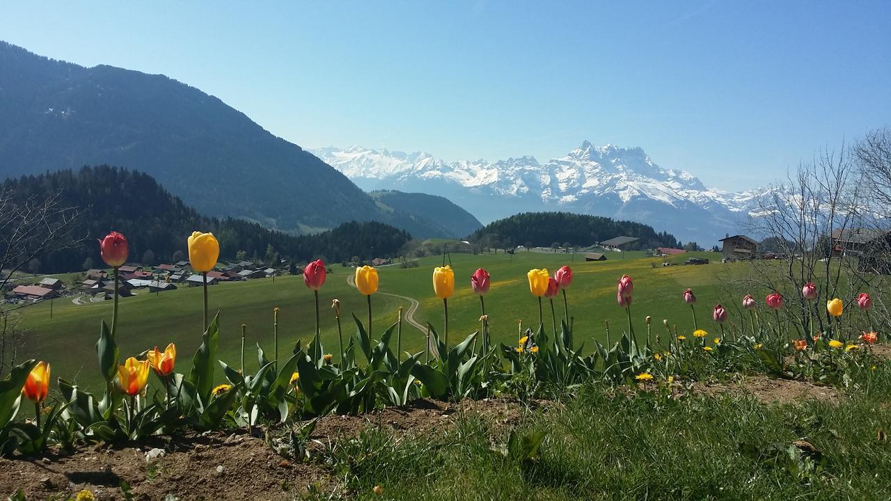 Winterfell Villa Leysin Dış mekan fotoğraf