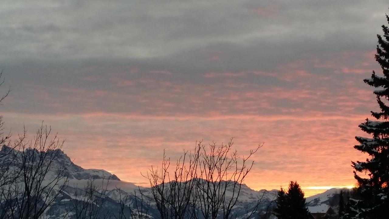 Winterfell Villa Leysin Dış mekan fotoğraf
