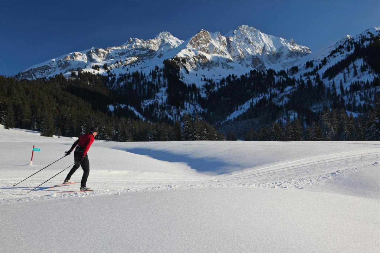 Winterfell Villa Leysin Dış mekan fotoğraf