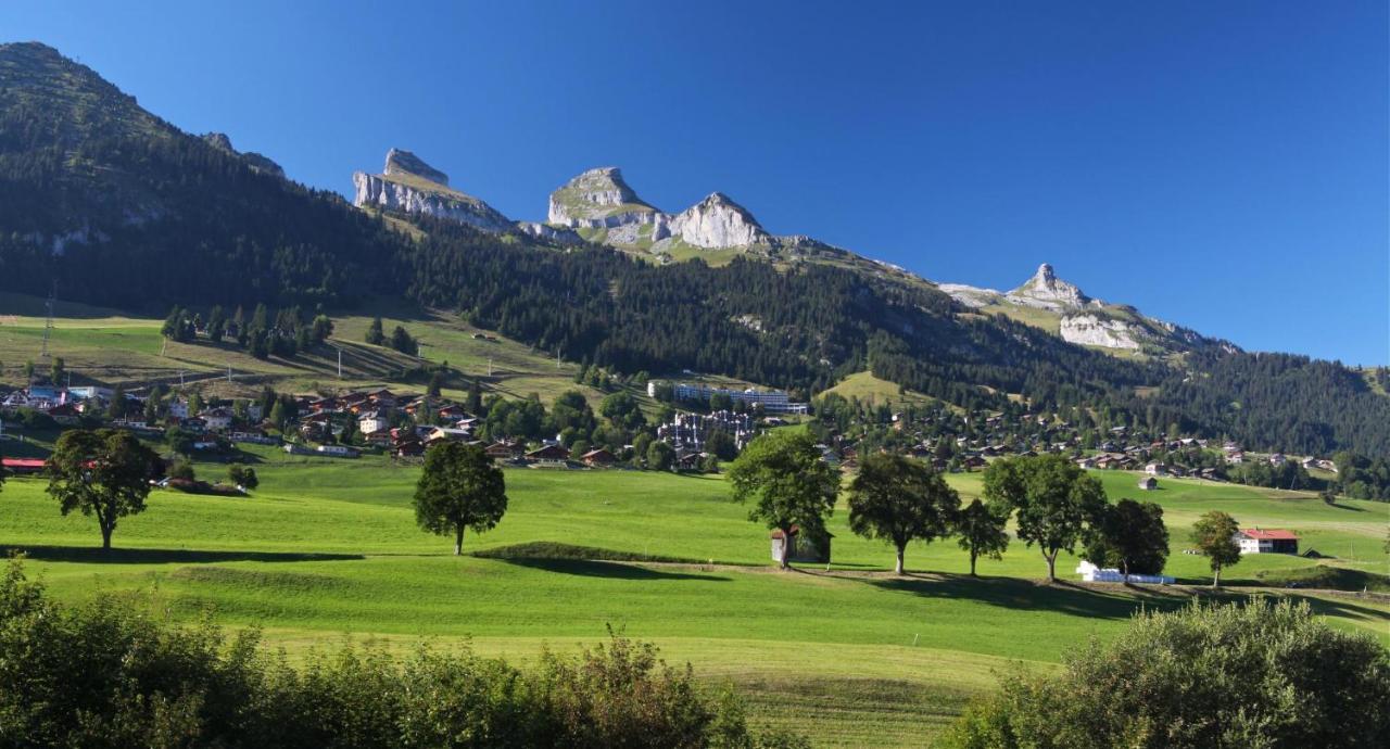 Winterfell Villa Leysin Dış mekan fotoğraf