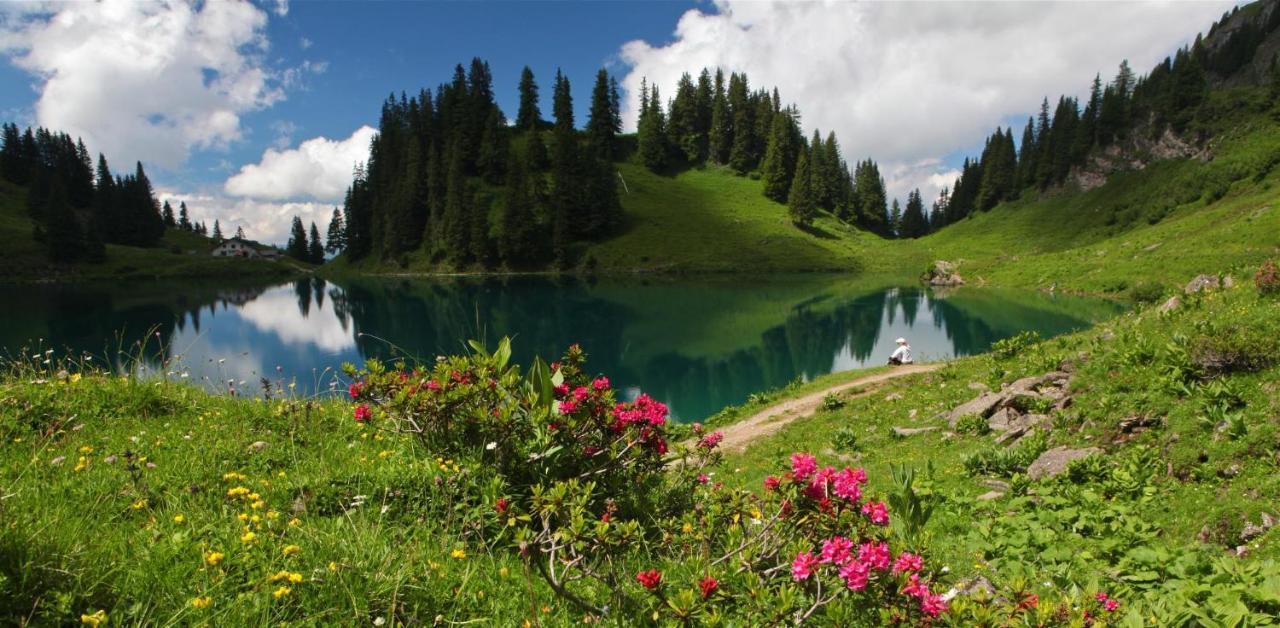 Winterfell Villa Leysin Dış mekan fotoğraf