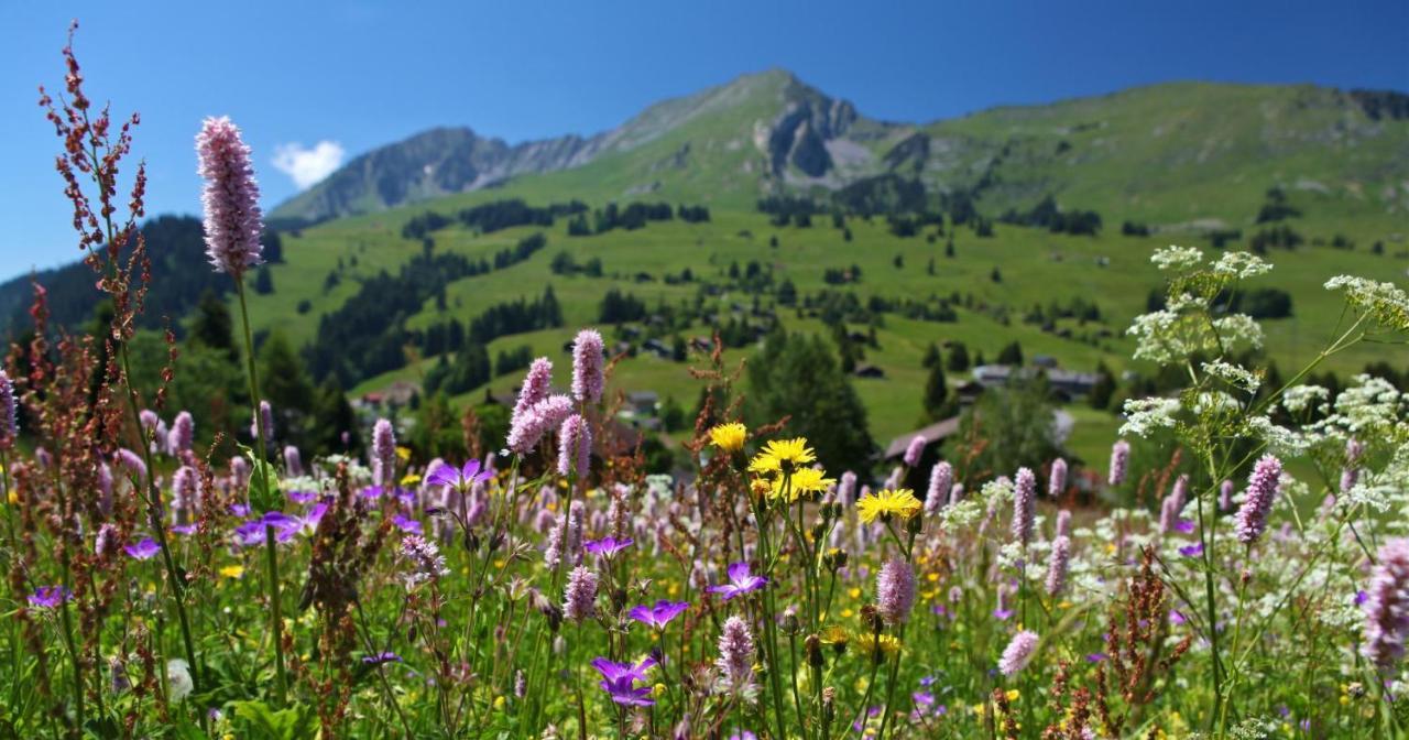 Winterfell Villa Leysin Dış mekan fotoğraf